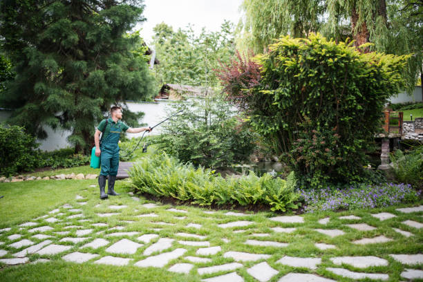 Best Tree Risk Assessment  in St Maries, ID