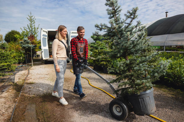 Best Stump Grinding and Removal  in St Maries, ID